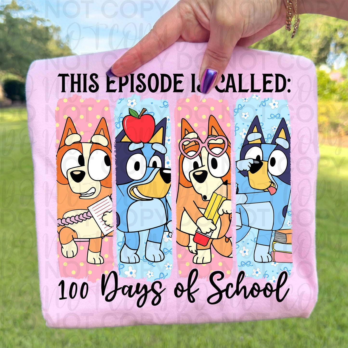 100 Heeler Episodes